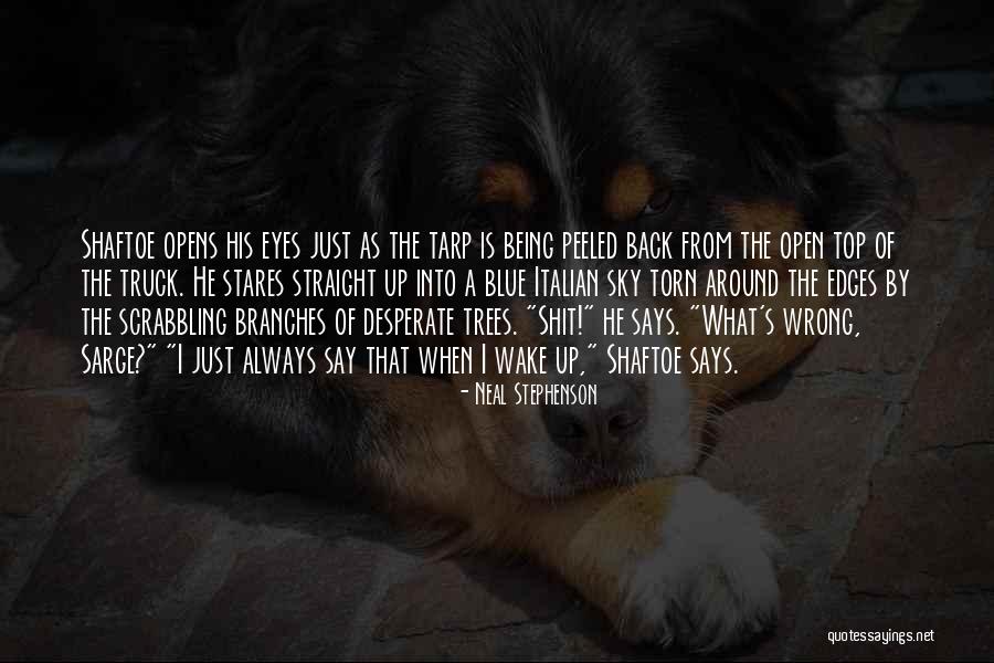 Cascaron De Huevo Quotes By Neal Stephenson Cascaron De Huevo Quotes By Neal Stephenson