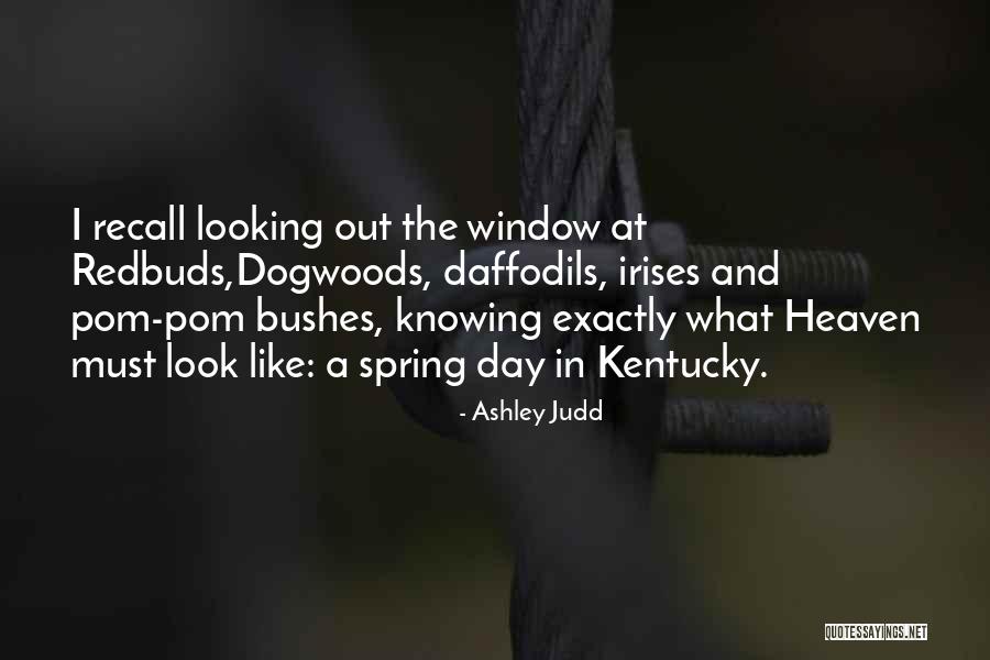 Caschettas Quotes By Ashley Judd Caschettas Quotes By Ashley Judd