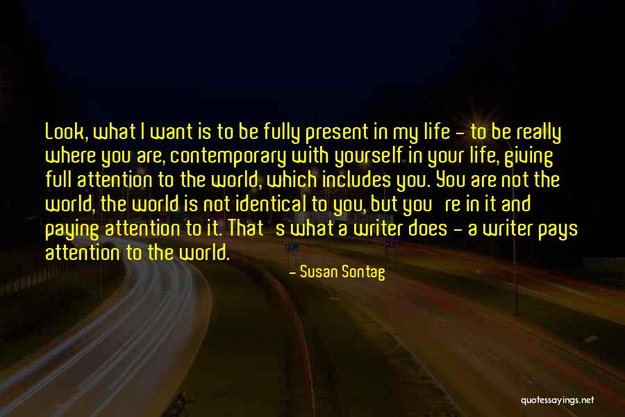 Cascos Shaft Quotes By Susan Sontag Cascos Shaft Quotes By Susan Sontag
