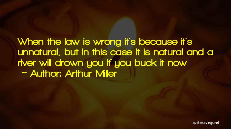 Case Law Quotes By Arthur Miller