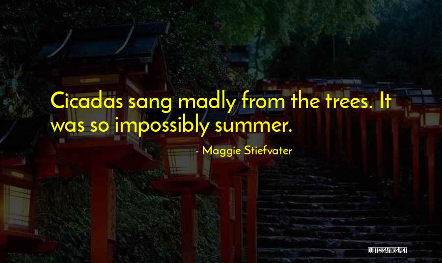 Casebook Pbc Quotes By Maggie Stiefvater Casebook Pbc Quotes By Maggie Stiefvater