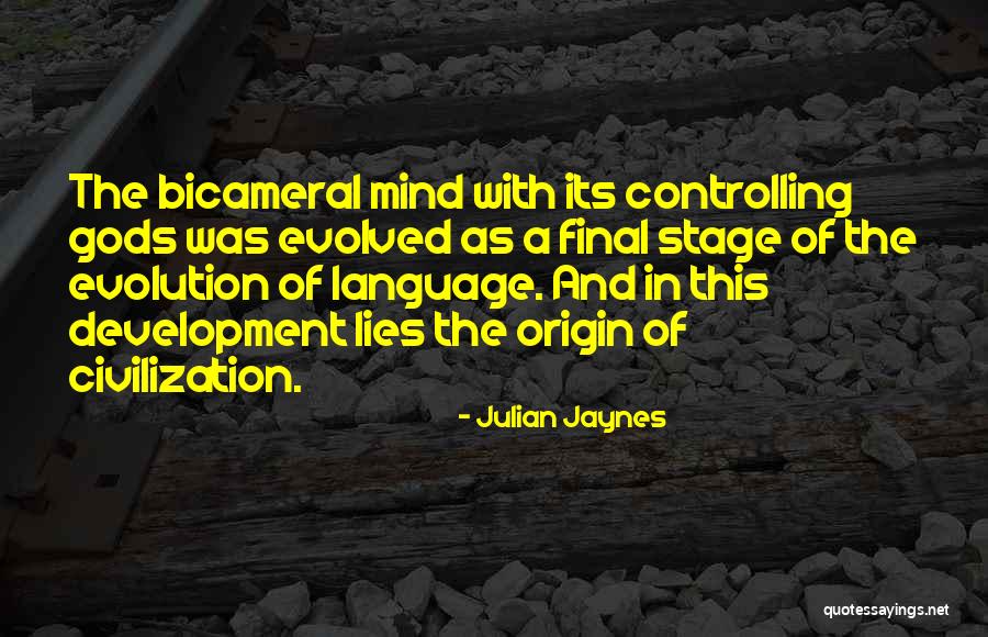 Casements Camera Quotes By Julian Jaynes Casements Camera Quotes By Julian Jaynes