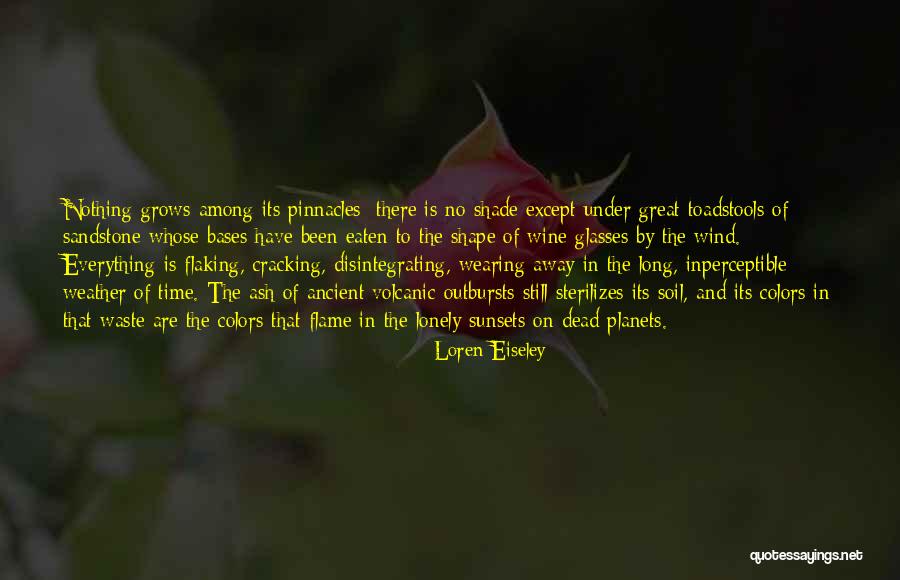 Caserma Passalacqua Quotes By Loren Eiseley Caserma Passalacqua Quotes By Loren Eiseley