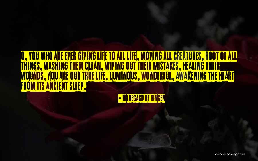 Cases And Concepts Quotes By Hildegard Of Bingen Cases And Concepts Quotes By Hildegard Of Bingen