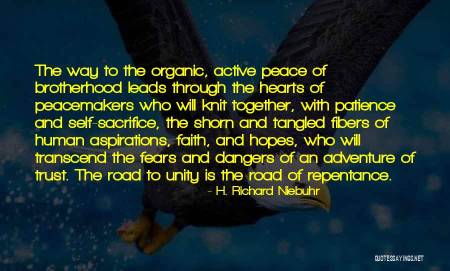 Caseys Shadow Quotes By H. Richard Niebuhr Caseys Shadow Quotes By H. Richard Niebuhr