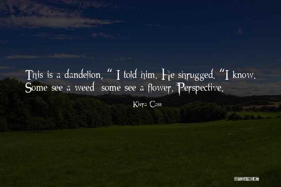 Cass Quotes By Kiera Cass Cass Quotes By Kiera Cass