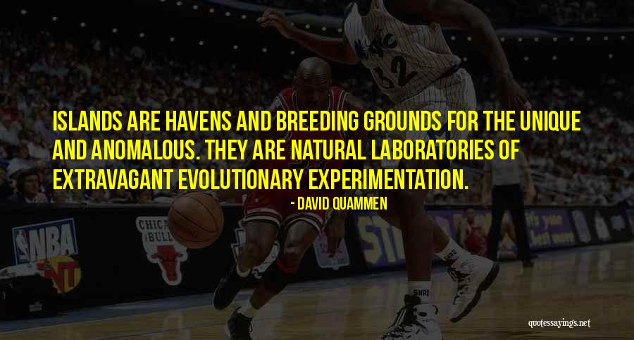 Cassalia Auto Quotes By David Quammen Cassalia Auto Quotes By David Quammen