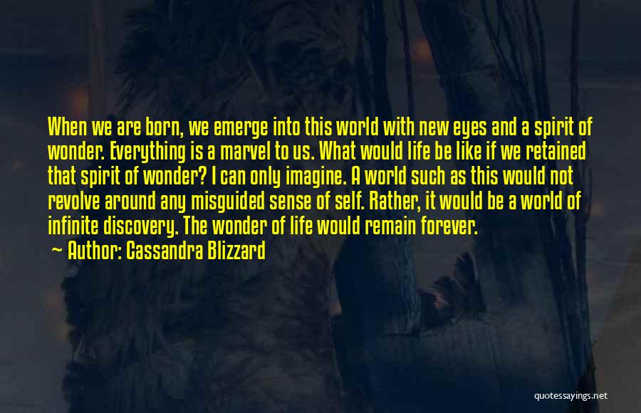 Cassandra Blizzard Quotes 1238296