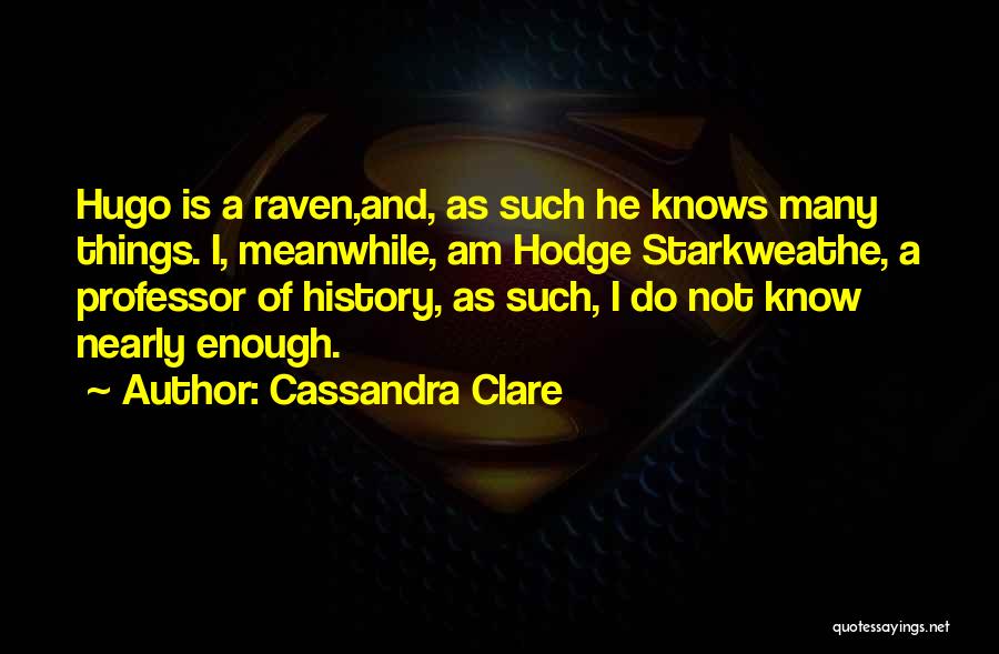 Cassandra Clare Quotes 246814