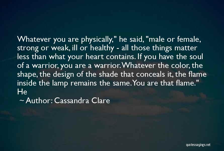 Cassandra Clare Warrior Quotes By Cassandra Clare