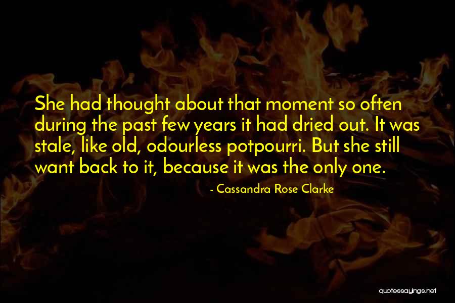 Cassandra Rose Clarke Quotes 2088924