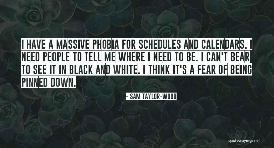 Cassani Ascensori Quotes By Sam Taylor-Wood Cassani Ascensori Quotes By Sam Taylor-Wood