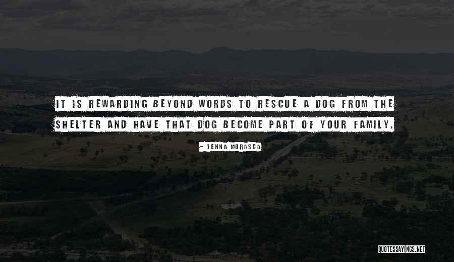 Cassareep Quotes By Jenna Morasca Cassareep Quotes By Jenna Morasca
