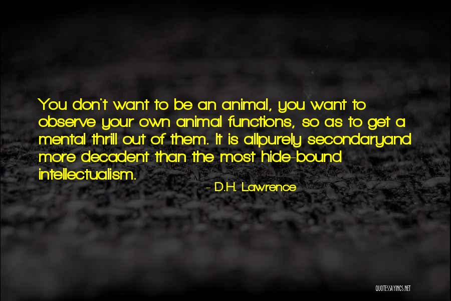 Cassaro Waldorf Quotes By D.H. Lawrence Cassaro Waldorf Quotes By D.H. Lawrence