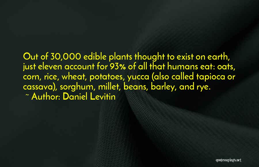 Cassava Quotes By Daniel Levitin