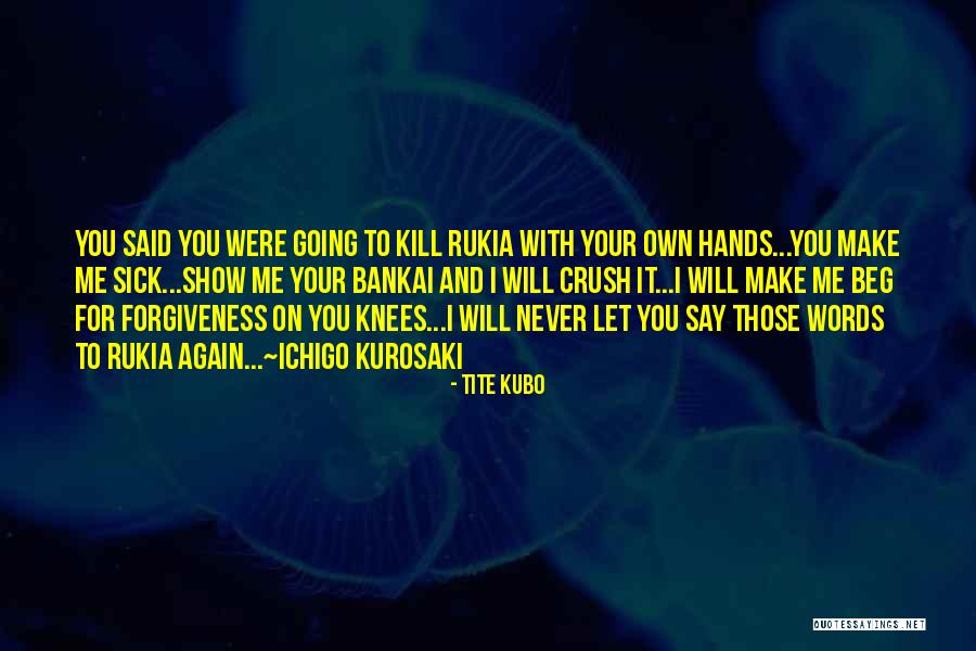 Cassidee Dabney Quotes By Tite Kubo Cassidee Dabney Quotes By Tite Kubo