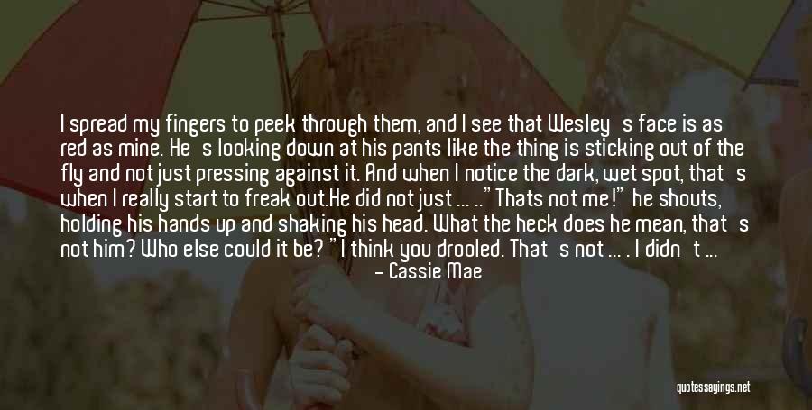 Cassie Mae Quotes 1020384 Cassie Mae Quotes 1020384