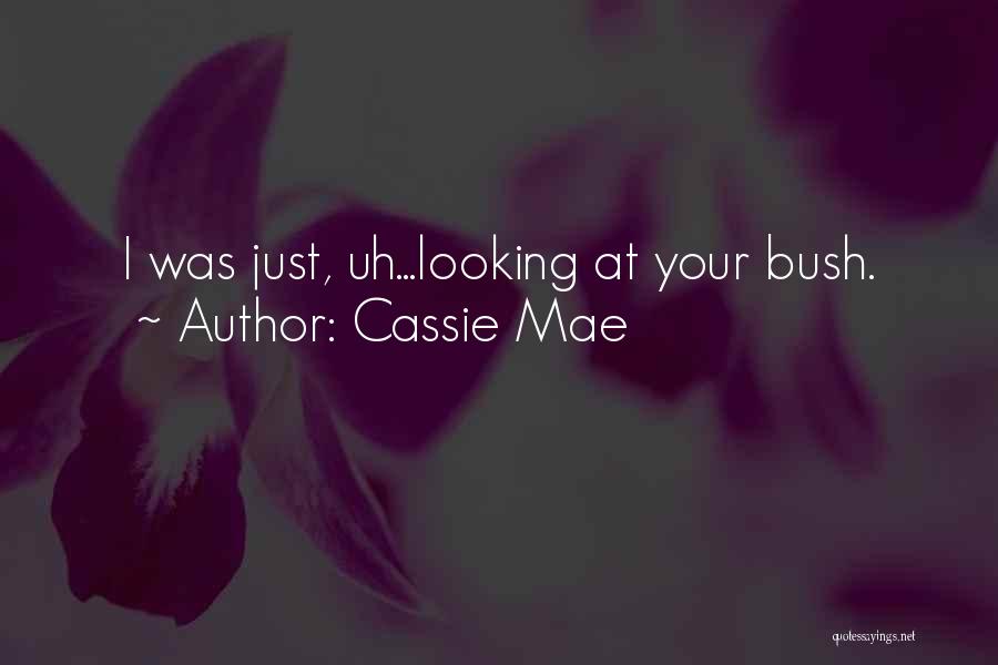 Cassie Mae Quotes 1763080