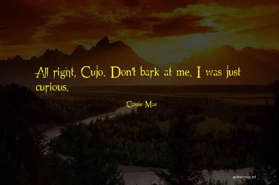 Cassie Mae Quotes 184613 Cassie Mae Quotes 184613