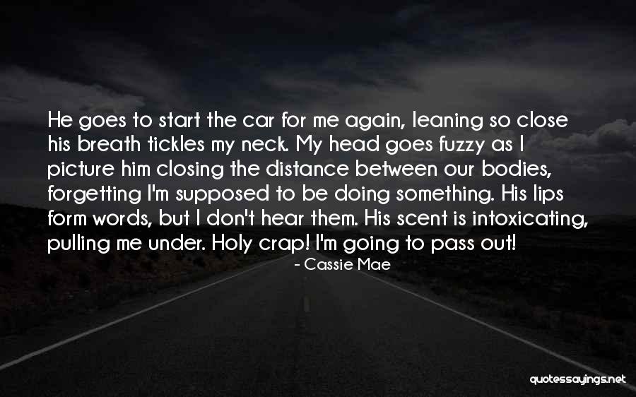 Cassie Mae Quotes 2221012 Cassie Mae Quotes 2221012
