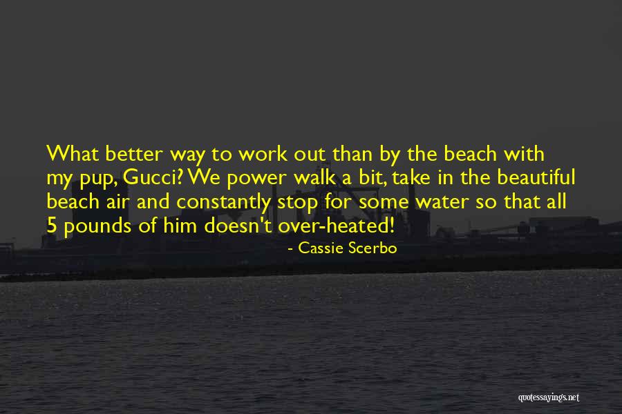 Cassie Scerbo Quotes 1756182 Cassie Scerbo Quotes 1756182