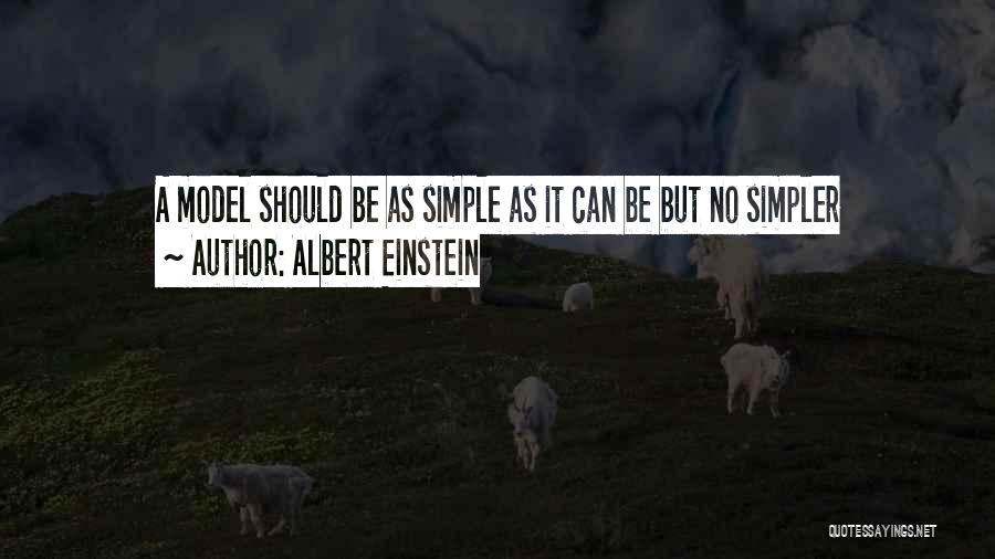 Cassim Shepard Quotes By Albert Einstein