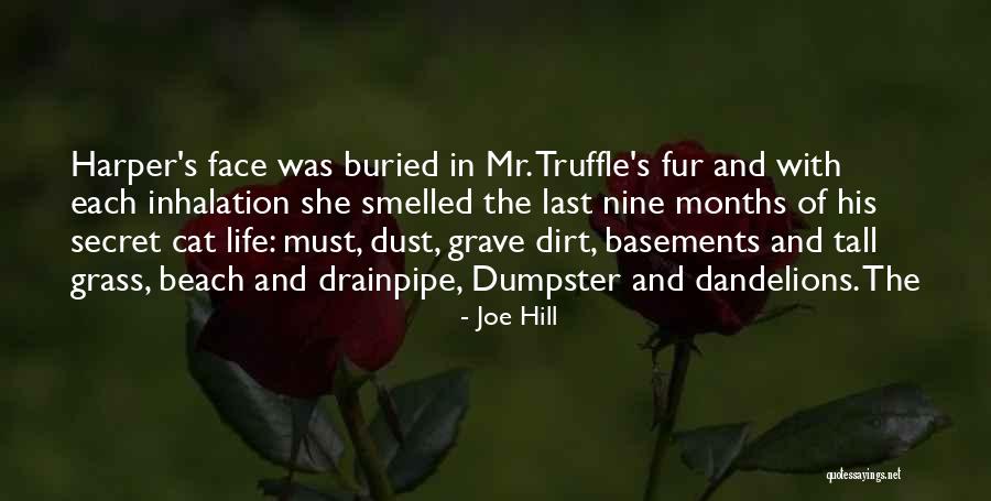 Cassini Telescope Quotes By Joe Hill Cassini Telescope Quotes By Joe Hill