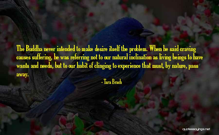 Cassiopeia Build Quotes By Tara Brach Cassiopeia Build Quotes By Tara Brach