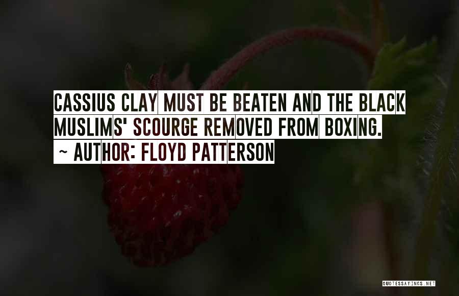 Cassius Clay Quotes By Floyd Patterson