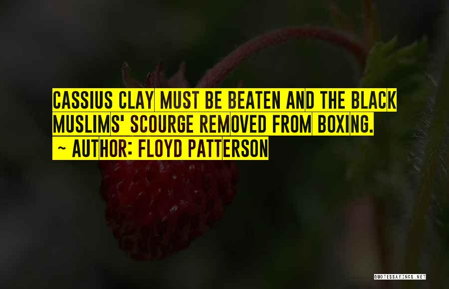 Cassius Quotes By Floyd Patterson