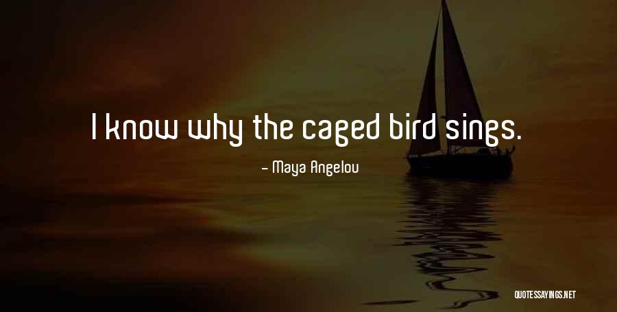 Castagnoli Dessert Quotes By Maya Angelou