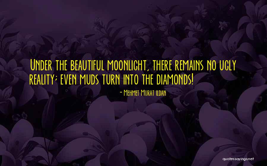 Castanha Para Quotes By Mehmet Murat Ildan Castanha Para Quotes By Mehmet Murat Ildan