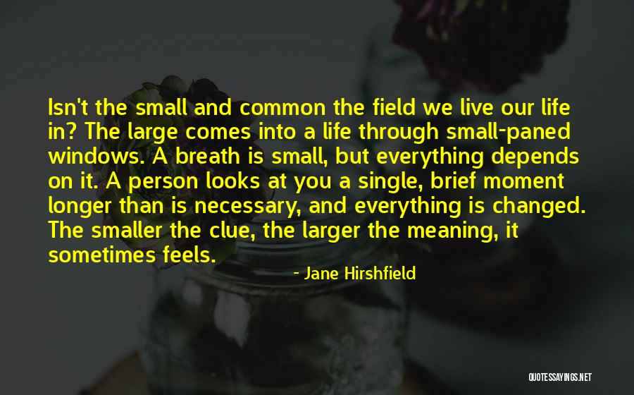Castanon Origin Quotes By Jane Hirshfield Castanon Origin Quotes By Jane Hirshfield
