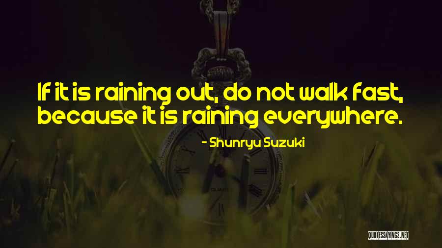 Castelletti Maurizio Quotes By Shunryu Suzuki