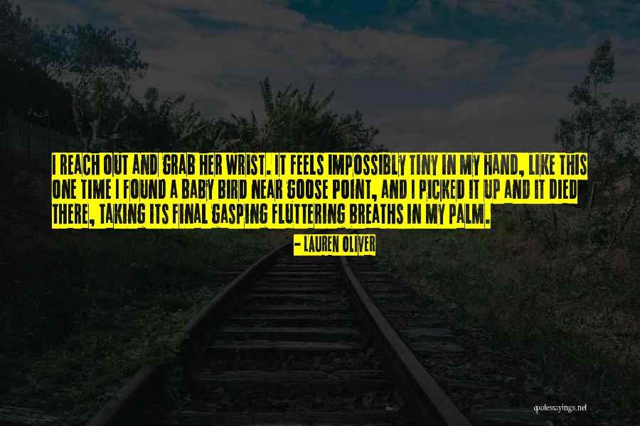Castelnaud Quotes By Lauren Oliver Castelnaud Quotes By Lauren Oliver