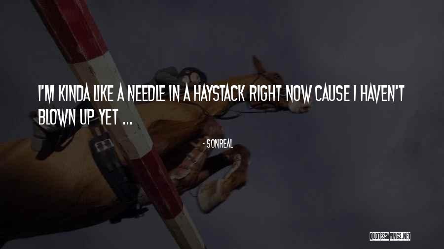 Castels Quotes By SonReal Castels Quotes By SonReal