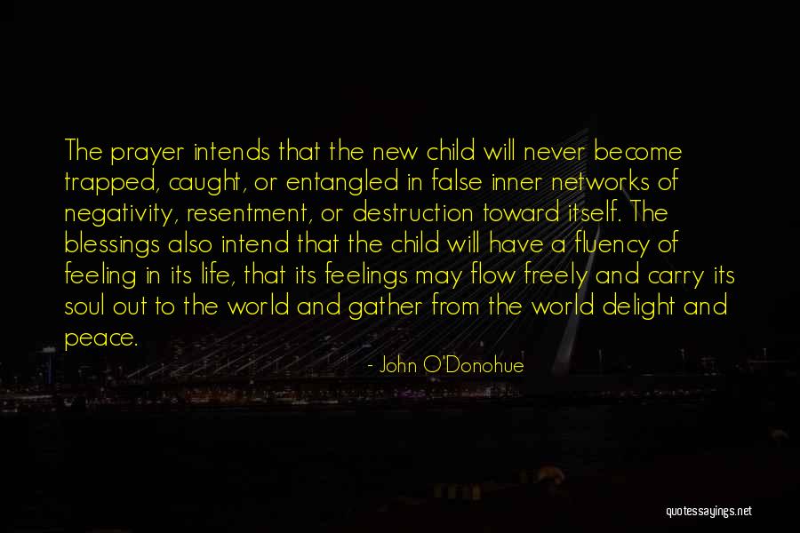 Castigated In A Sentence Quotes By John O'Donohue Castigated In A Sentence Quotes By John O'Donohue