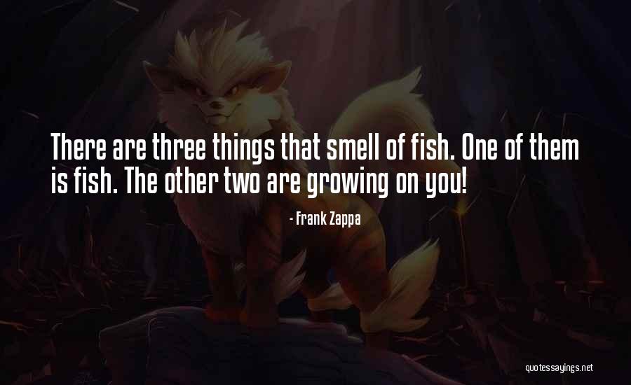 Castiglia Quotes By Frank Zappa Castiglia Quotes By Frank Zappa