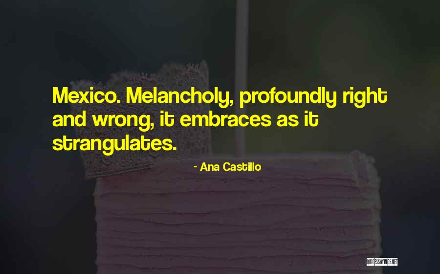 Castillo Quotes By Ana Castillo Castillo Quotes By Ana Castillo