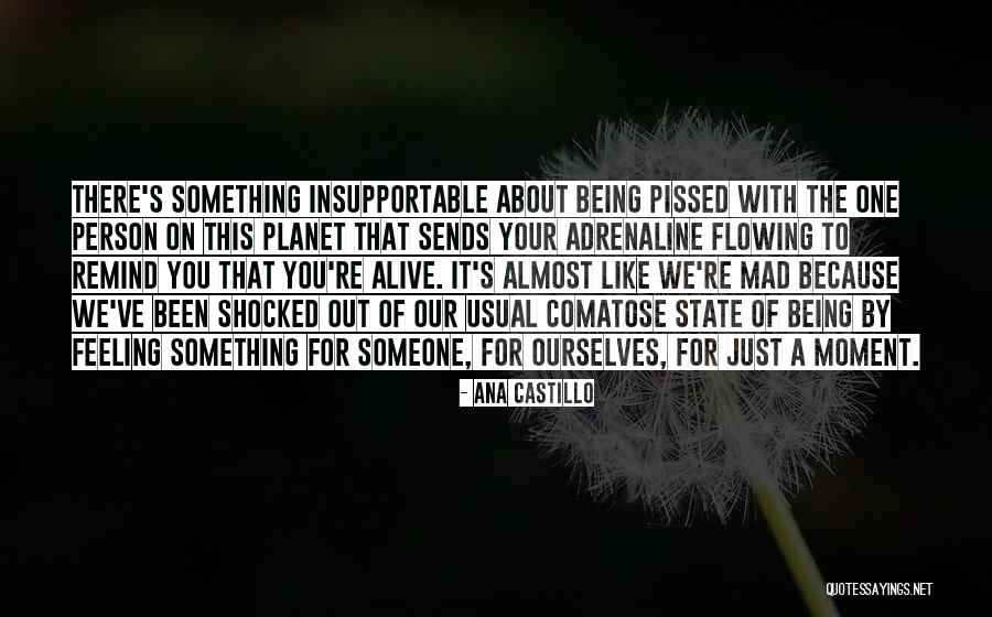 Castillo Quotes By Ana Castillo Castillo Quotes By Ana Castillo