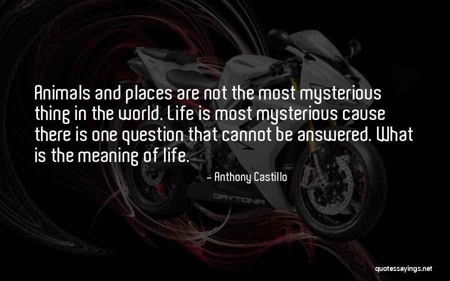Castillo Quotes By Anthony Castillo Castillo Quotes By Anthony Castillo