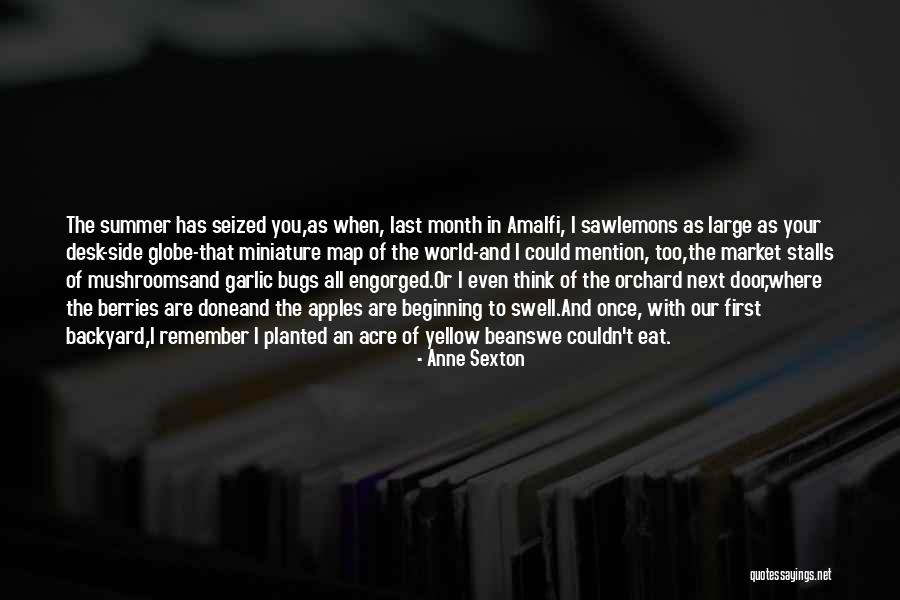 Castillon Battle Quotes By Anne Sexton Castillon Battle Quotes By Anne Sexton