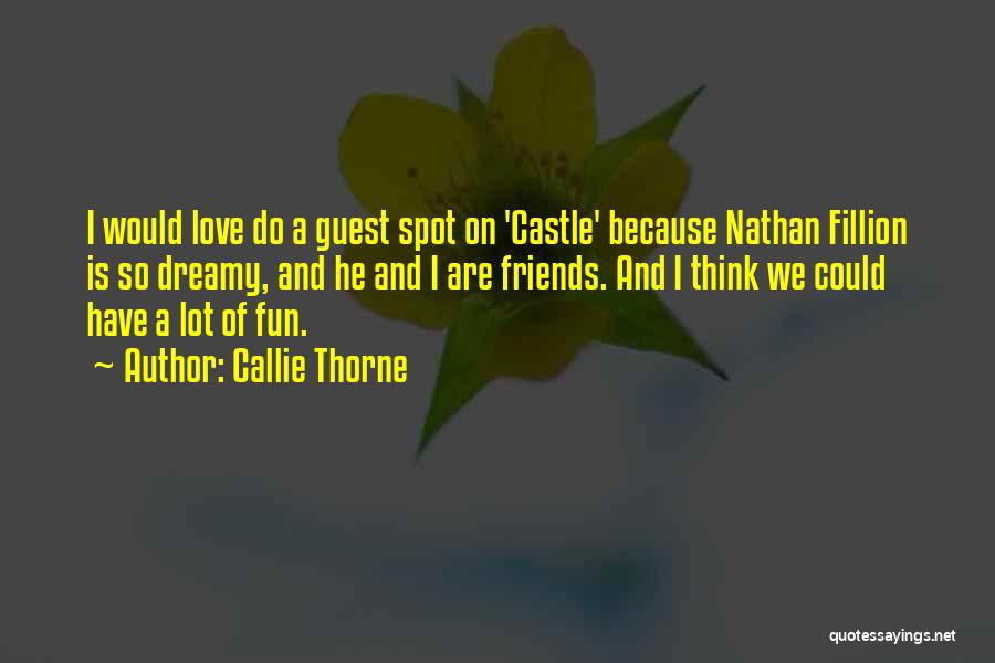 Castle Fillion Quotes By Callie Thorne