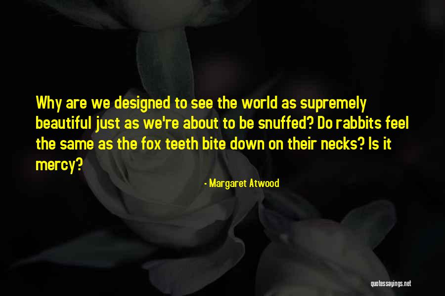 Castle Lager Quotes By Margaret Atwood