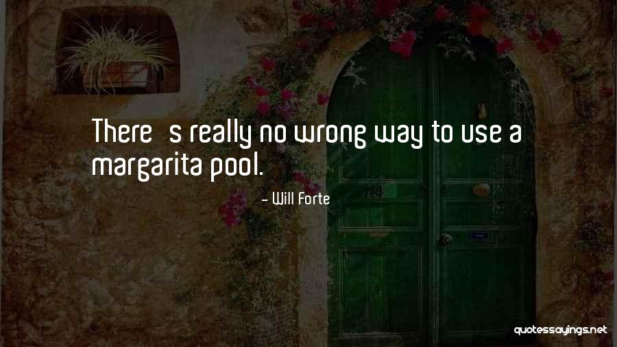 Castle Lager Quotes By Will Forte