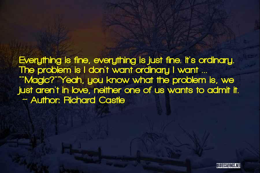 Castle Season 4 Quotes By Richard Castle