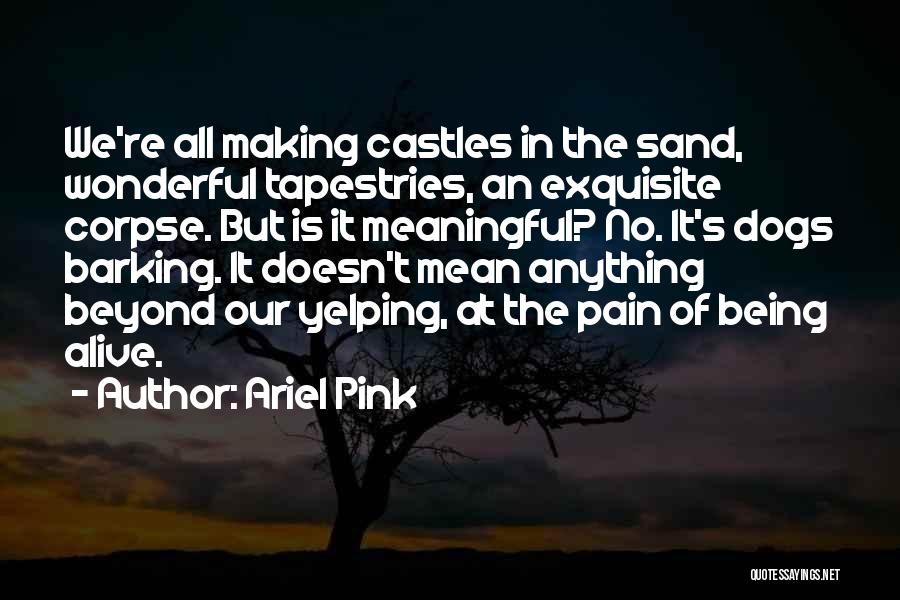 Castles In The Sand Quotes By Ariel Pink
