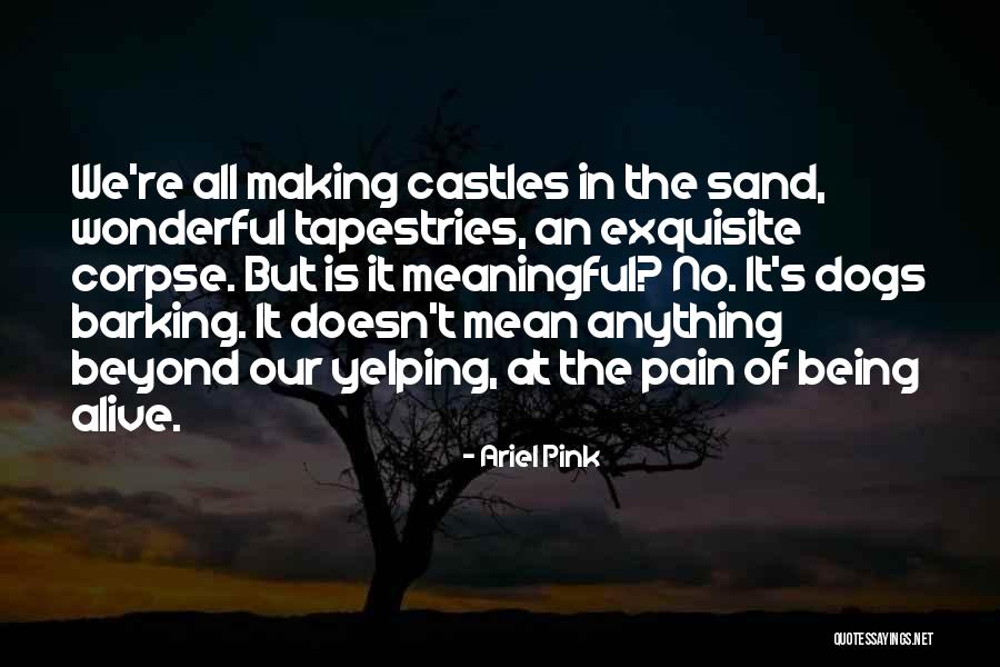 Castles In The Sand Quotes By Ariel Pink Castles In The Sand Quotes By Ariel Pink