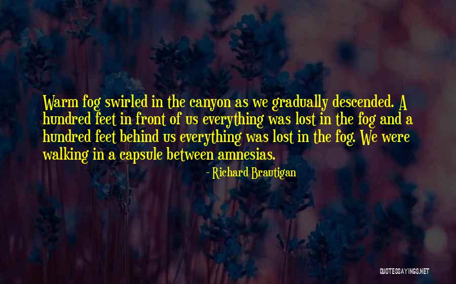 Castles In The Sand Quotes By Richard Brautigan