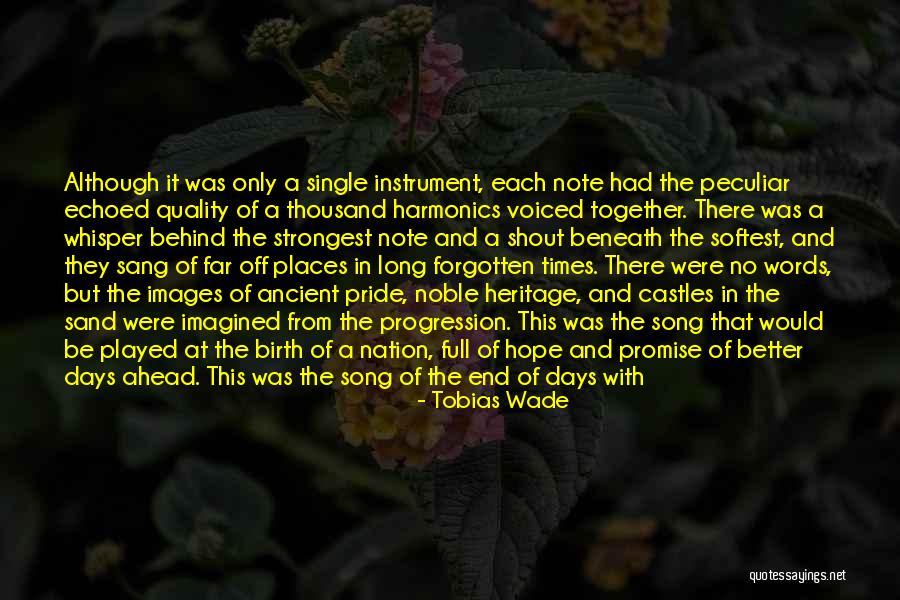 Castles In The Sand Quotes By Tobias Wade Castles In The Sand Quotes By Tobias Wade